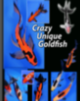 Crazy Unique Goldfish