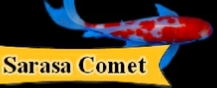 Sarasa Comet Goldfish Information